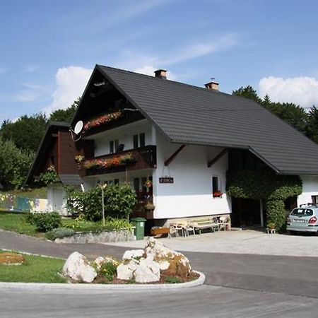 Apartments And Rooms Cerkovnik 博希尼 外观 照片