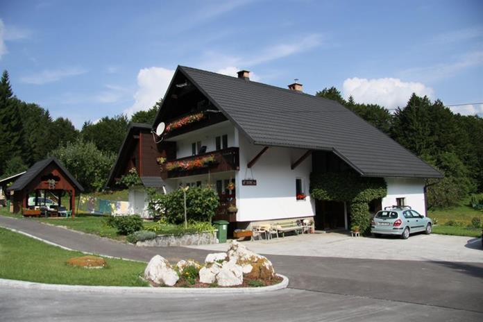 Apartments And Rooms Cerkovnik 博希尼 外观 照片