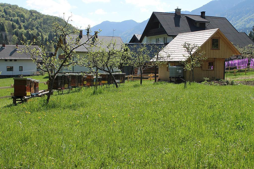 Apartments And Rooms Cerkovnik 博希尼 外观 照片