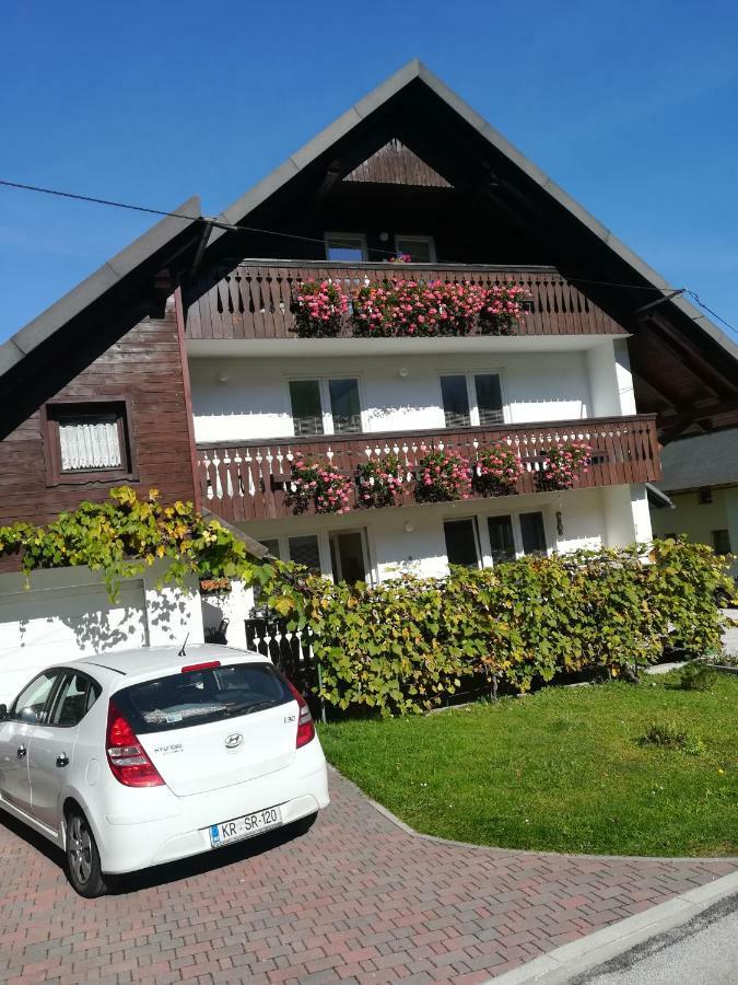 Apartments And Rooms Cerkovnik 博希尼 外观 照片